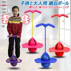 スポーツ玩具 外遊びおもちゃ 子供の人気商品 通販 価格比較 価格 Com