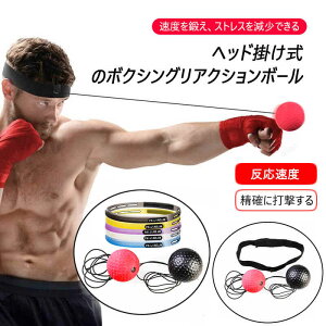 ボクシング トレーニング 自宅の人気商品 通販 価格比較 価格 Com