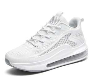 Xj[J[ Y  bV  EH[LOV[Y ₷ w X|[cV[Y ʋ ʊw