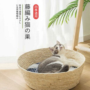 }\yP5{z҂ݔL̑ ʋCybgnEX ybghbOnEX ybgp nEX xbh aL̑ lGʗp L  ˂ LbgnEX }bg lG ybgpi y