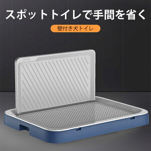 }\yP5{zp gC ܂肽݌gC ǕtgC  gC gC{ gCe L^ g[jO  gC gCg[ u gC V[g    