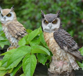 フクロウ 鳥よけ 鳩よけ 鳥対策 本物そっくり 樹脂 防鳥防獣対策 カラス対策 防鳥具 鳥よけグッズ 置物 オーナメント 装飾 ディスプレイ 風水 縁起 ガーデニング 庭 ガーデン ベランダ 屋外 装飾 高級感 ブジェ 撃退ハト スズメ カラス 雀 ムクドリ ヒヨドリ撃退