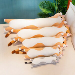 130cm L ʂ Gӂӂ YQ  ~    l` q  D   NbV  ܂ʂ 傫ɏ㔧G _炩