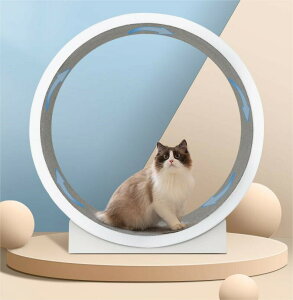 ybg [i[ LbgzC[ l LbgzC[ LbgzC[ L jOzC[ LbgEH[N Lbg [[ L̃gbh~ 񂵎 ܌ LbgGN