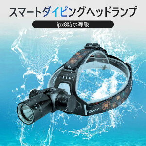 お買い物マラソン【P5倍】LEDヘッドライト 充電式 ヘッドライト 釣り 作業 スマート感応 T6 高輝度 充電式 残量表示 ストロングライト/ローライト 水深40メートルに達する ipx8防水等級 USB輸出