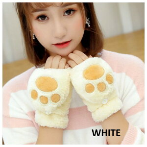 wJo[t L[g  ~g X}zΉ ^ubg X}z w L̎ 킢 L[g  CX^f g  IV h fB[X ʊw 