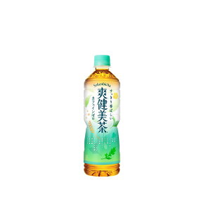 コカ・コーラ社製品 爽健美茶 PET 600ml 2ケース 48本 送料無料 【d07-2】