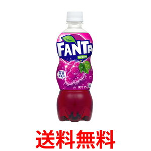 10%offN[|Ώ RJER[Аi t@^O[v500mlPET ybg{g 2P[X 48{@  yd17-2z