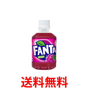 10%offN[|Ώ RJER[Аi t@^O[v280mlPET 2P[X 48{ ybg{g  yd34-2z