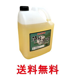 VZC ͂ꎟY 5L _knp   ߃^Cv SHINSEI  ySK00894z