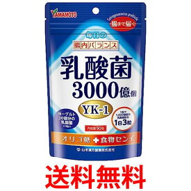 山本漢方製薬 乳酸菌粒 90粒 送料無料 【SK01839】
