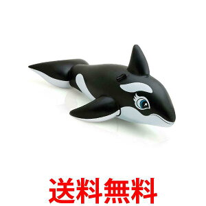  V`  nh   v[ C C  V r[` CJ 킢 (ǗS)  ySK02024z