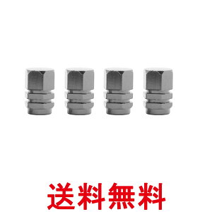 ^C GAouLbv 4Zbg GA[ou Jo[   ^C A~ Zp hXAbv Vo[ (ǗS)  ySK03050z