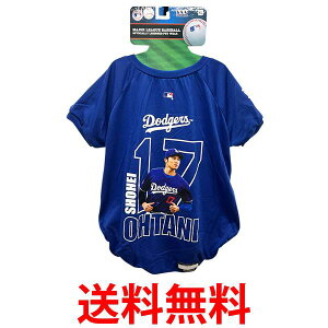 MLBF T[X hW[X JĕI胂f tHgTVc XL  hbN hbOEFA ybg  ySK03451z