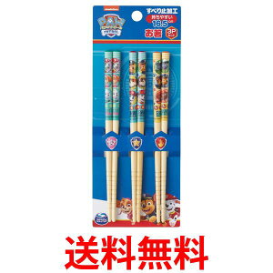 XP[^[ ANT2T  pEpg[ |  ͂ ͂ 16.5cm 3{Zbg Skater  ySK03517z