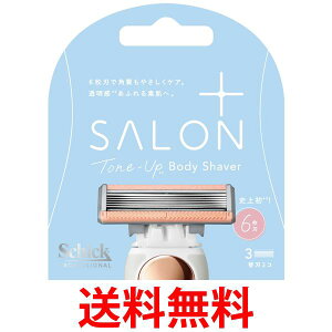 VbN TvX g[Abv {fBVF[o[ ֐n 3R Schick  ySK05280z