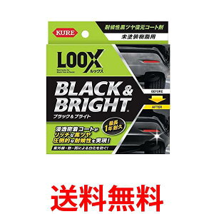 ���H�� ���b�N�X 1198 10ml �u���b�N&�u���C�g KURE LOOX �������� �ySK05812�z
