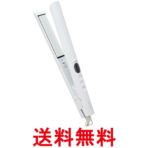 �e�X�R�� TS360A-W �z���C�g �X�g���[�g�A�C���� �}�C�i�X�C�I�� �i�m�Z���~�b�N�R�[�e�B���O �������� �ySK07024�z