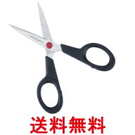 ツヴィリング 41300-111 ツインL 刺繍バサミ 11cm 手芸 糸切 裁縫 事務用品 ZWILLING 送料無料 【SK09279】