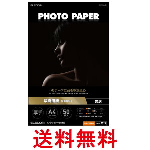 GR EJK-PROA450 zCg ʐ^p v^[p 50   CNWFbgp A4TCY TNo:D313  ySK09619z
