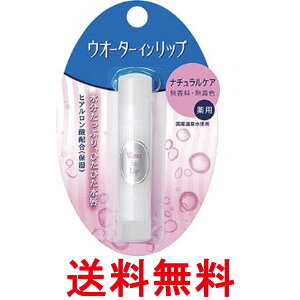 �t�@�C���g�D�f�C �E�H�[�^�[�C�����b�v ��p�X�e�B�b�N NF f ������ 3.5g �������� �ySK10060�z