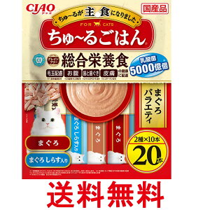 Ȃ `I `邲͂ ܂oGeB 14g×20{ Lp  CIAO  ySK11269z