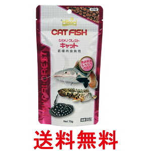 L[ qJ ЂNXgLbg 75g H  ySK11683z