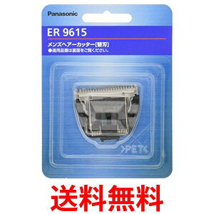 �p�i�\�j�b�N ER9615 �֐n �o���J���p Panasonic �������� �ySK12800�z