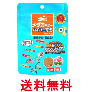 L[ qJ _Jxr[ nCp[琬 20g t̉a  ySK13152z