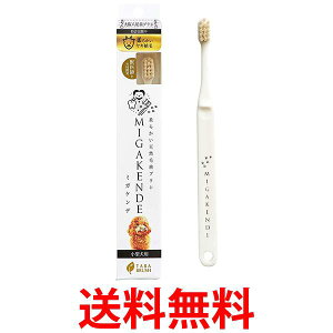 ~KPf _炩VRюuV ^p _炩MA 1{ _炩 MIGAKENDE  ySK14371z