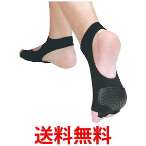 IJ AQA-1L AQA1L ANA v[GNTTCYpT|[^[ LTCY ubN ANAV[Y v[ ^ AQUARUN  ySK14581z