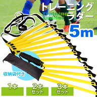 トレーニング ラダー サッカー フットサル バスケット トレーニング 敏捷性 5m プレート 9枚 イエロー ブ…