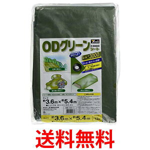 ^JCN OGS11 #3000ODO[V[g 3.6mx5.4m W[V[g u[V[g  ng  ySK15411z