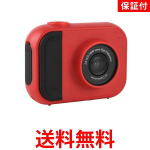 3ۏؕt qp fW^J 2K 𑜓x 32GB J[ht 2C` IPS  킢 ʐ^ Be (ǗS)  ySK15967z