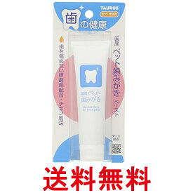 トーラス ペット歯みがきペースト チキン風味 38g 国産 犬 猫 デンタルケア 送料無料 【SK16363】