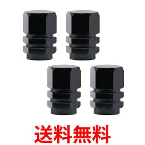 ^C GAouLbv 4Zbg GA[ou Jo[   ^C A~ Zp hXAbv ubN (ǗS)  ySK18062z