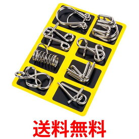 知恵の輪 セット ミステリーリング 8点セット 玩具 知育 脳トレ パズル ゲーム ミステリー リング 手遊び おもちゃ 謎解き (管理S) 送料無料 【SK18193】