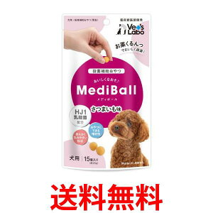 fB{[ p ܂ 15 Medi Ball  ySK18325z