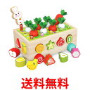 木のおもちゃ おもちゃ 知育玩具 型はめ 引っ付き虫 積み木 子ども 出産祝い (管理C) 送料無料 【SK18947】