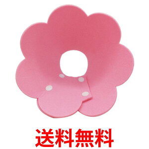 GUxXJ[ ybgObY y \tg^Cv GJ  L 킢  sN MTCY (ǗS)  ySK19060z