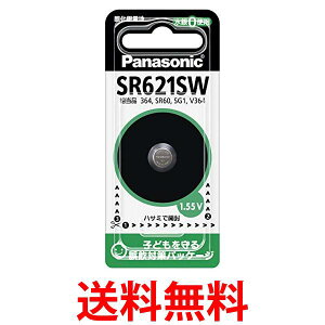 10�Z�b�g �p�i�\�j�b�N SR621SW �_����d�r 1�� Panasonic �������� �ySK20531�z