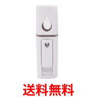 ハンディミスト 美顔器 フェイススチーマー 携帯 2個セット 加湿器 美顔器 スプレー 携帯用 保湿 美容器 …