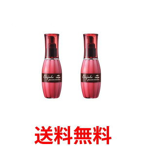 2Zbg ~{ fB[ZX GW[_ OCXIG}W 120g 􂢗Ȃg[gg  ySK24498z