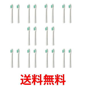 10�Z�b�g �I������ SB-182 2�{���� ���g���d�����u���V �����P�A�u���V OMURON �������� �ySK24527�z