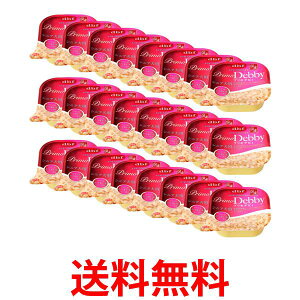 24Zbg frtybg vfrB VjAp TT~&܂y[Xg 95g  ySK25255z