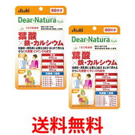 2個セット アサヒ ディアナチュラスタイル 葉酸×鉄・カルシウム 120粒 60日分 送料無料 【SK25632】