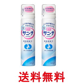 2個セット 花王 薬用 泡サニーナ 70g 送料無料 【SK26249】