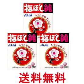 3個セット アサヒグループ食品 梅ぼし純 24粒 Bタイプ 送料無料 【SK26561】