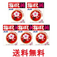 5個セット アサヒグループ食品 梅ぼし純 24粒 Bタイプ 送料無料 【SK26566】