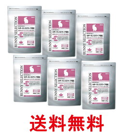 6個セット イースター バニーセレクション ネザーランドドワーフ専用 1.3kg うさぎ用 送料無料 【SK26838】
